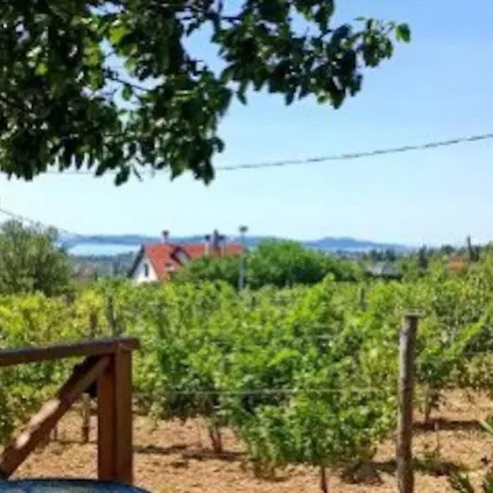 Panoramahaz Lovason *