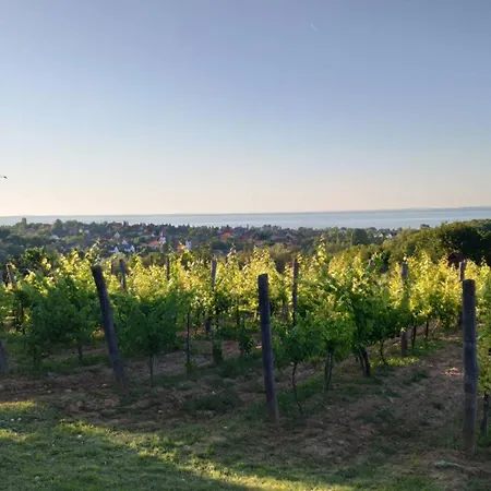 Panoramahaz Lovason דירה