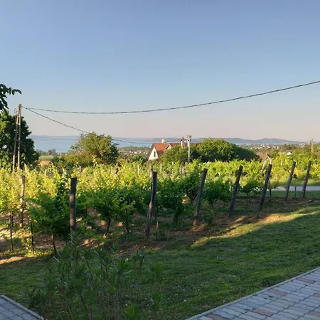 דירה Panoramahaz Lovason *