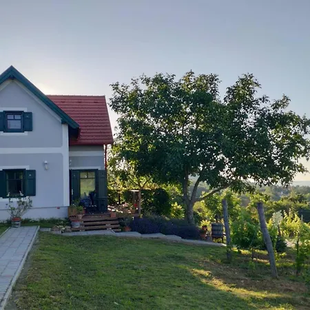 Panoramahaz Lovason Apartman *