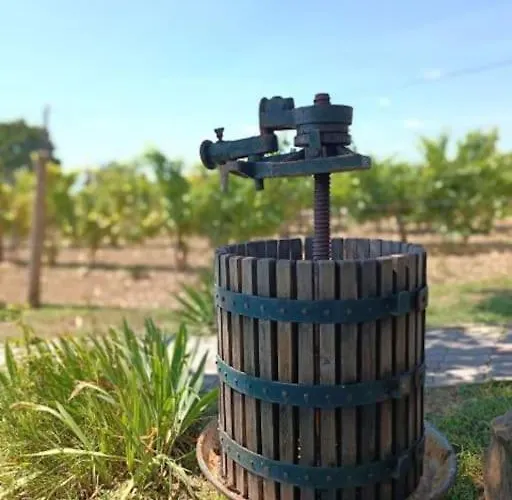 Panorámaház Lovason Apartamento Lovas