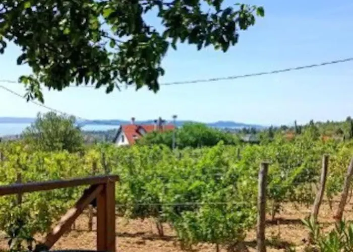 Panoramahaz Lovason *