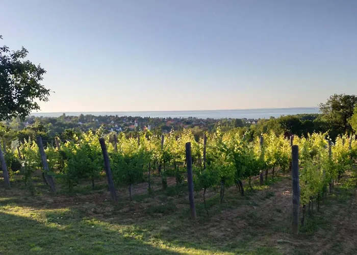 Panoramahaz Lovason דירה