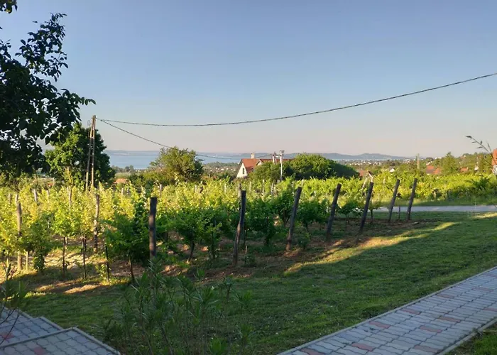 Apartamento Panorámaház Lovason *